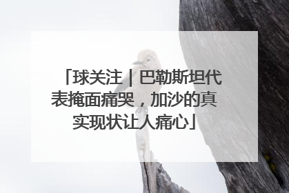 球关注｜巴勒斯坦代表掩面痛哭，加沙的真实现状让人痛心
