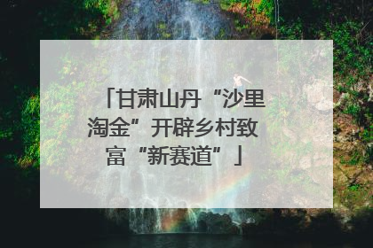 甘肃山丹“沙里淘金”开辟乡村致富“新赛道”