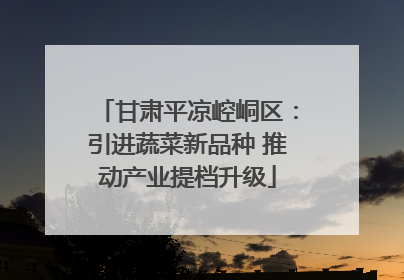 甘肃平凉崆峒区：引进蔬菜新品种 推动产业提档升级