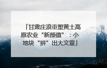 甘肃庄浪重塑黄土高原农业“新颜值”：小地块“拼”出大文章