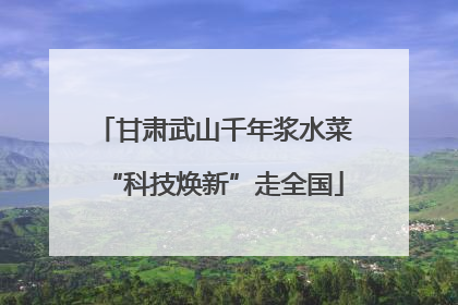 甘肃武山千年浆水菜“科技焕新”走全国