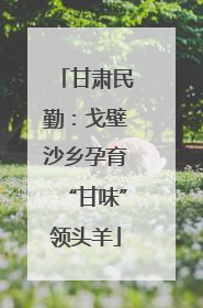 甘肃民勤：戈壁沙乡孕育“甘味”领头羊