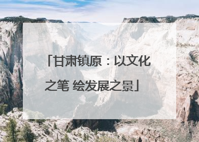 甘肃镇原：以文化之笔 绘发展之景