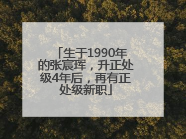 生于1990年的张宸珲，升正处级4年后，再有正处级新职