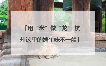 用“米”做“龙” 杭州这里的端午味不一般