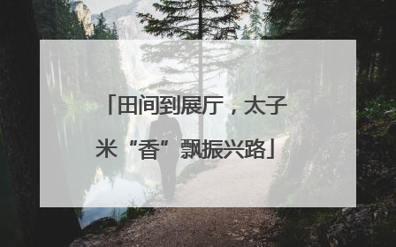 田间到展厅，太子米“香”飘振兴路
