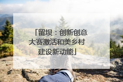 留坝：创新创意大赛激活和美乡村建设新动能