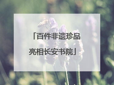 百件非遗珍品亮相长安书院