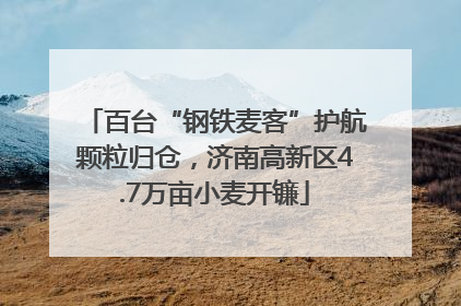 百台“钢铁麦客”护航颗粒归仓，济南高新区4.7万亩小麦开镰