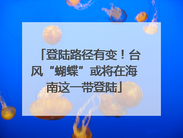 登陆路径有变！台风“蝴蝶”或将在海南这一带登陆