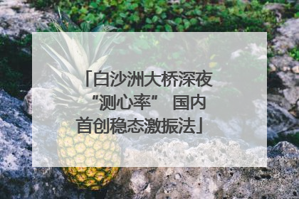 白沙洲大桥深夜“测心率” 国内首创稳态激振法