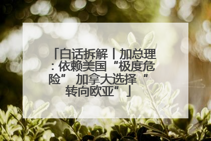 白话拆解丨加总理：依赖美国“极度危险” 加拿大选择“转向欧亚”