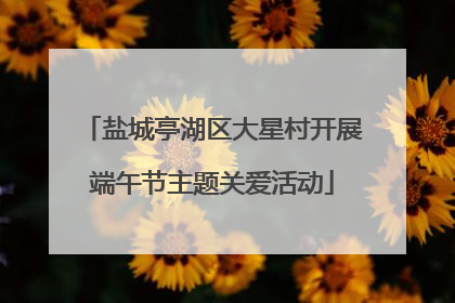 盐城亭湖区大星村开展端午节主题关爱活动