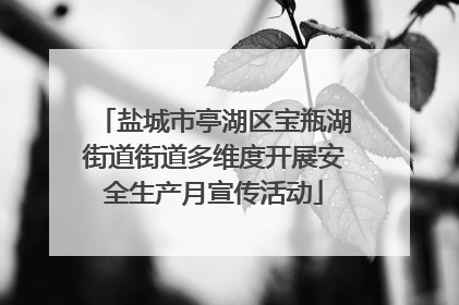 盐城市亭湖区宝瓶湖街道街道多维度开展安全生产月宣传活动