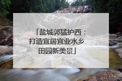 盐城郭猛护西：打造宜居宜业水乡田园新美景