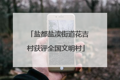 盐都盐渎街道花吉村获评全国文明村
