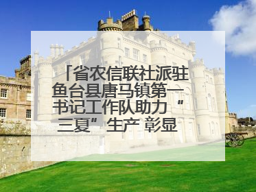 省农信联社派驻鱼台县唐马镇第一书记工作队助力“三夏”生产 彰显为民担当