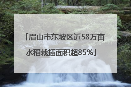 眉山市东坡区近58万亩水稻栽插面积超85%