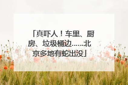 真吓人！车里、厨房、垃圾桶边……北京多地有蛇出没