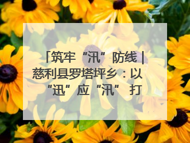 筑牢“汛”防线｜慈利县罗塔坪乡：以“迅”应“汛” 打赢暴雨防御战