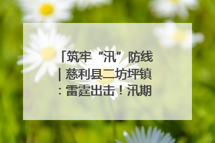 筑牢“汛”防线｜慈利县二坊坪镇：雷霆出击！汛期捕鱼被紧急叫停