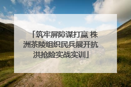 筑牢屏障谋打赢 株洲茶陵组织民兵展开抗洪抢险实战实训