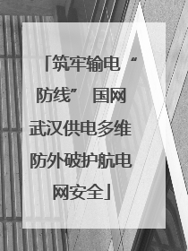 筑牢输电“防线” 国网武汉供电多维防外破护航电网安全
