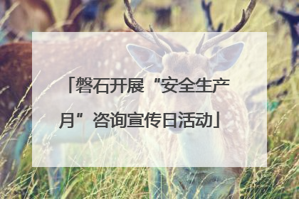磐石开展“安全生产月”咨询宣传日活动