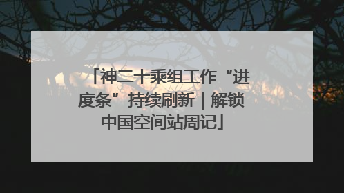 神二十乘组工作“进度条”持续刷新｜解锁中国空间站周记