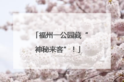 福州一公园藏“神秘来客”！