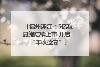 福州连江：5亿粒夏鲍陆续上市 开启“丰收盛宴”