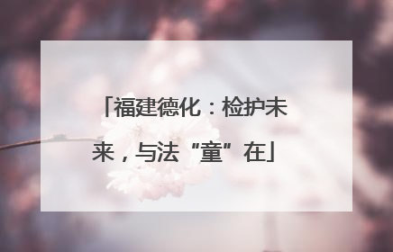 福建德化：检护未来，与法“童”在