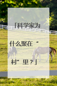 科学家为什么聚在“村”里？