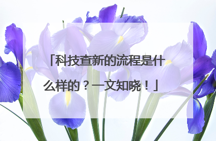 科技查新的流程是什么样的？一文知晓！