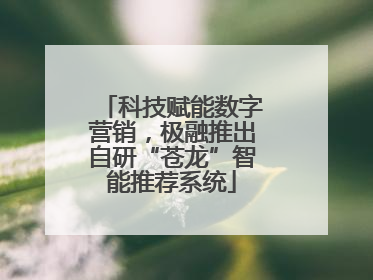科技赋能数字营销，极融推出自研“苍龙”智能推荐系统