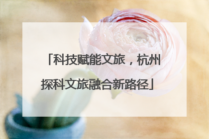 科技赋能文旅，杭州探科文旅融合新路径