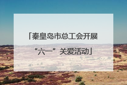 秦皇岛市总工会开展“六一”关爱活动