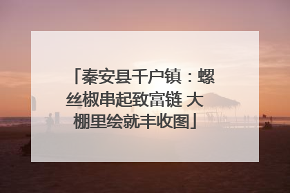 秦安县千户镇：螺丝椒串起致富链 大棚里绘就丰收图