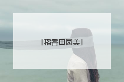 稻香田园美