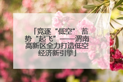 竞逐“低空” 蓄势“起飞”——渭南高新区全力打造低空经济新引擎