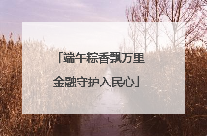 端午粽香飘万里 金融守护入民心