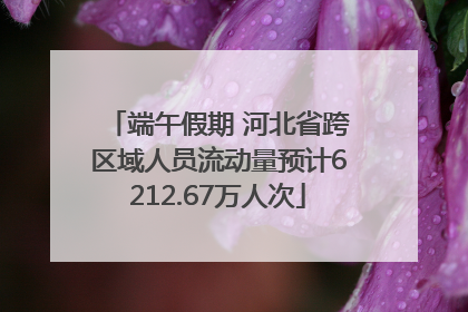 端午假期 河北省跨区域人员流动量预计6212.67万人次