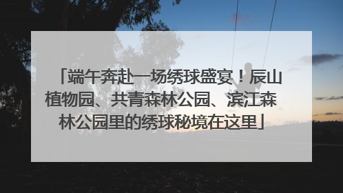 端午奔赴一场绣球盛宴！辰山植物园、共青森林公园、滨江森林公园里的绣球秘境在这里