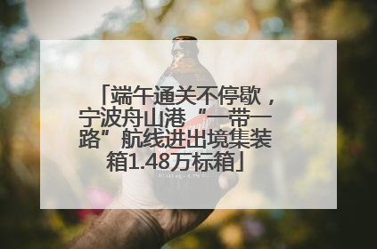 端午通关不停歇，宁波舟山港“一带一路”航线进出境集装箱1.48万标箱