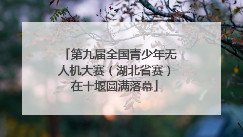 第九届全国青少年无人机大赛（湖北省赛）在十堰圆满落幕