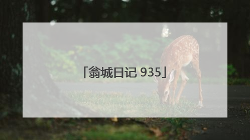 翁城日记 935