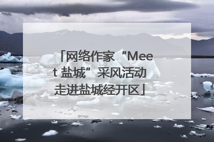 网络作家“Meet 盐城”采风活动走进盐城经开区