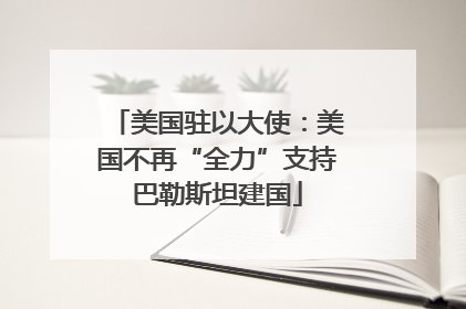 美国驻以大使：美国不再“全力”支持巴勒斯坦建国