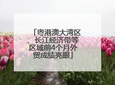 粤港澳大湾区、长江经济带等区域前4个月外贸成绩亮眼
