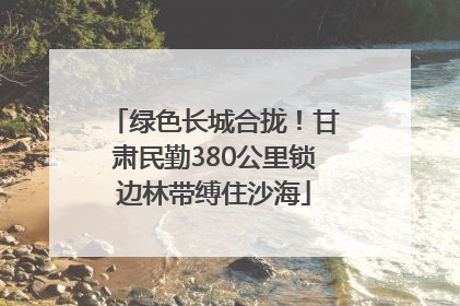 绿色长城合拢！甘肃民勤380公里锁边林带缚住沙海